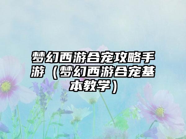 梦幻西游合宠攻略手游（梦幻西游合宠基本教学）
