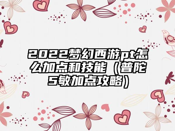 2022梦幻西游pt怎么加点和技能（普陀5敏加点攻略）