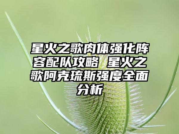 星火之歌肉体强化阵容配队攻略 星火之歌阿克琉斯强度全面分析