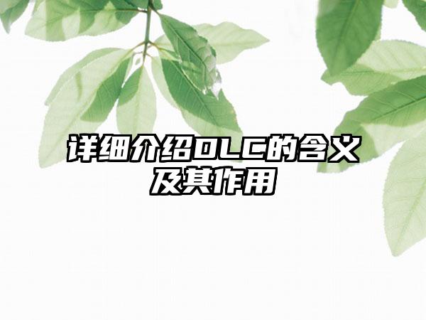 详细介绍DLC的含义及其作用