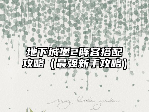 地下城堡2阵容搭配攻略（最强新手攻略）