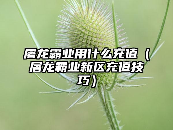 屠龙霸业用什么充值（屠龙霸业新区充值技巧）
