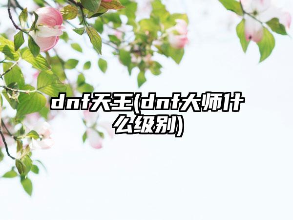 dnf天王(dnf大师什么级别)