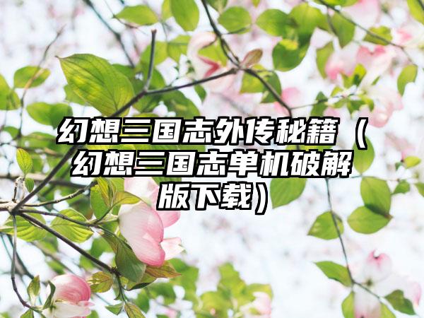 幻想三国志外传秘籍（幻想三国志单机破解版）