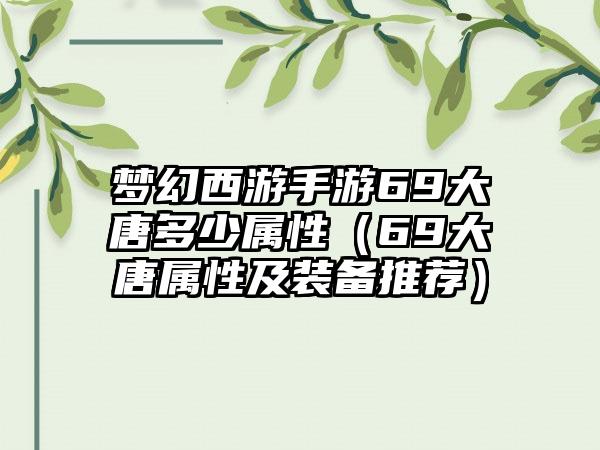 梦幻西游手游69大唐多少属性（69大唐属性及装备推荐）