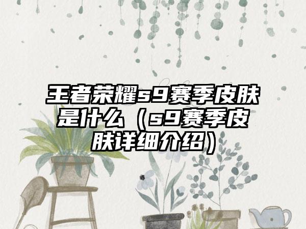 王者荣耀s9赛季皮肤是什么（s9赛季皮肤详细介绍）