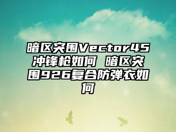 暗区突围Vector45冲锋枪如何 暗区突围926复合防弹衣如何