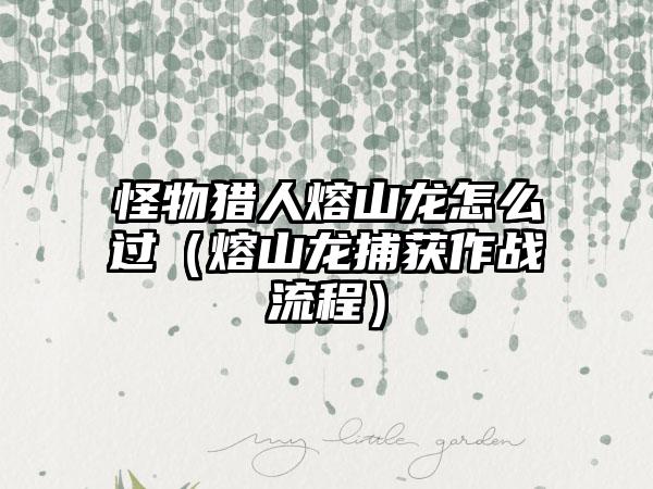 怪物猎人熔山龙怎么过（熔山龙捕获作战流程）