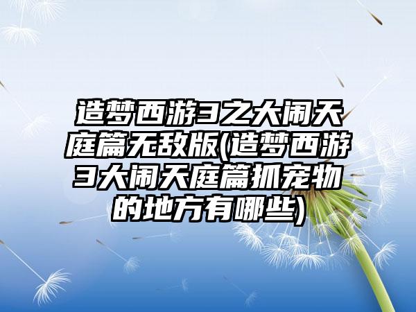 造梦西游3之大闹天庭篇无敌版(造梦西游3大闹天庭篇抓宠物的地方有哪些)