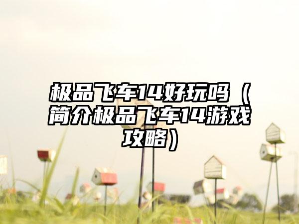 极品飞车14好玩吗（简介极品飞车14游戏攻略）