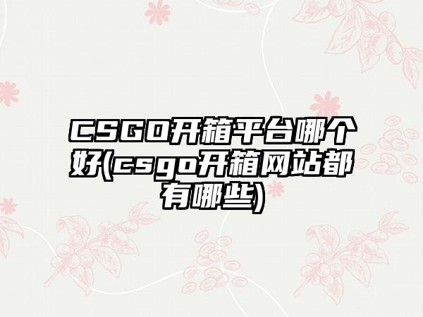 CSGO开箱平台哪个好(csgo开箱网站都有哪些)