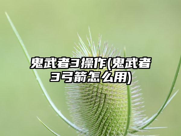 鬼武者3操作(鬼武者3弓箭怎么用)