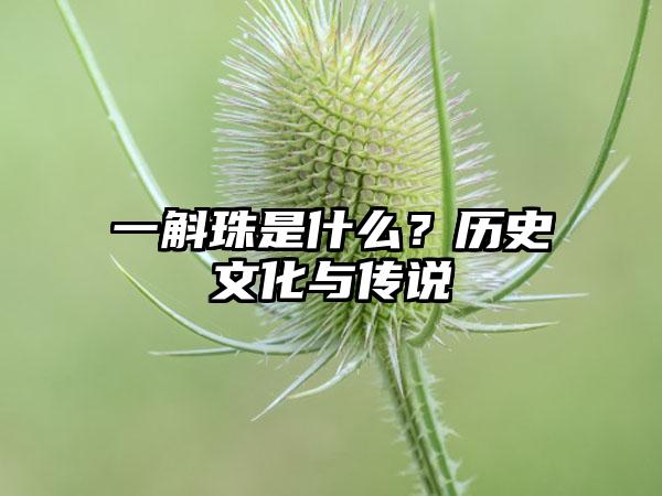 一斛珠是什么？历史文化与传说