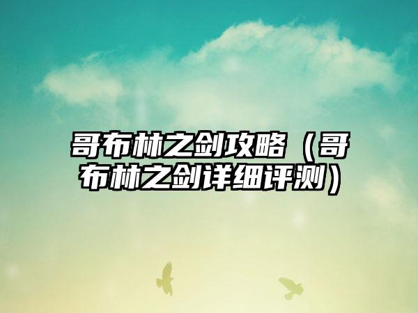 哥布林之剑攻略（哥布林之剑详细评测）