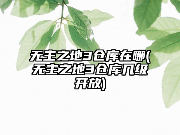 无主之地3仓库在哪(无主之地3仓库几级开放)