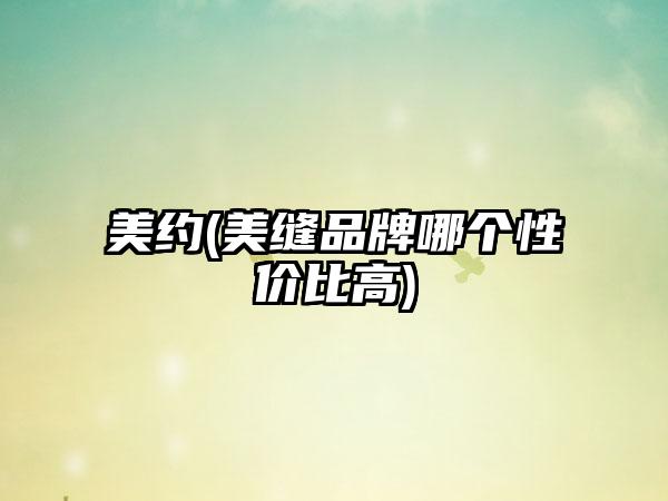 美约(美缝品牌哪个性价比高)