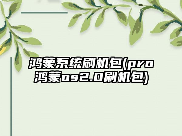 鸿蒙系统刷机包(pro鸿蒙os2.0刷机包)