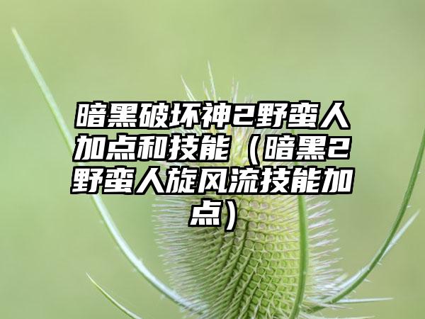 暗黑破坏神2野蛮人加点和技能（暗黑2野蛮人旋风流技能加点）