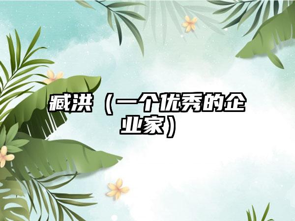 臧洪（一个优秀的企业家）