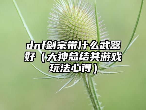 dnf剑宗带什么武器好（大神总结其游戏玩法心得）