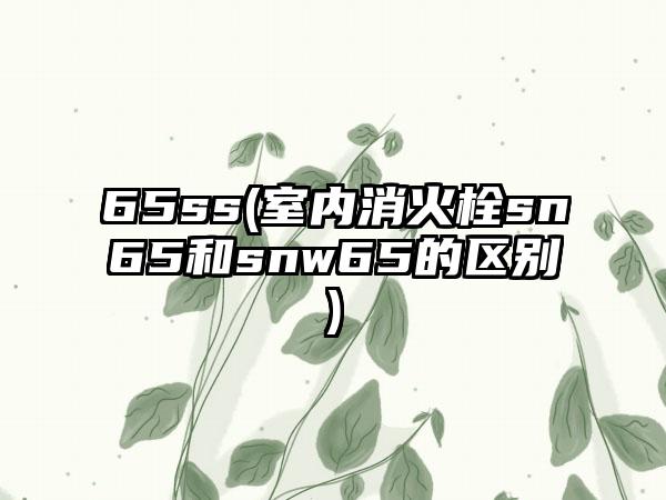 65ss(室内消火栓sn65和snw65的区别)