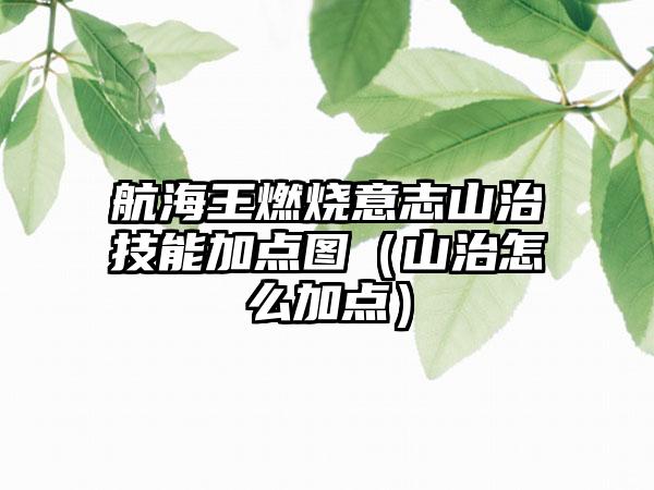 航海王燃烧意志山治技能加点图（山治怎么加点）