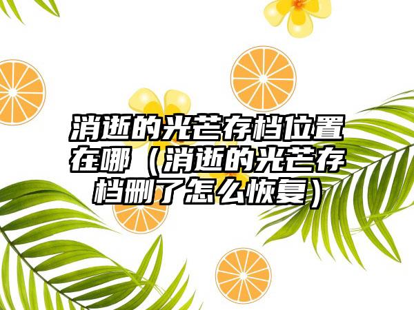 消逝的光芒存档位置在哪（消逝的光芒存档删了怎么恢复）