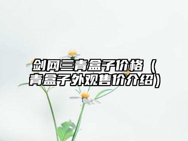 剑网三青盒子价格（青盒子外观售价介绍）