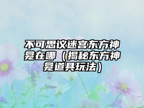 不可思议迷宫东方神龛在哪（揭秘东方神龛道具玩法）