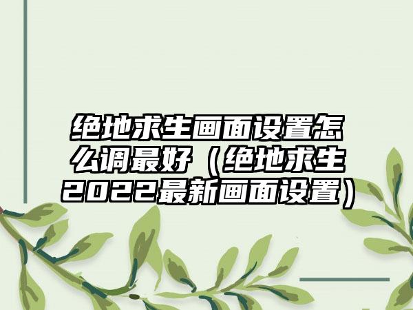 绝地求生画面设置怎么调最好（绝地求生2022最新画面设置）