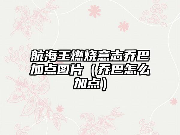 航海王燃烧意志乔巴加点图片（乔巴怎么加点）