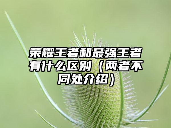 荣耀王者和最强王者有什么区别（两者不同处介绍）
