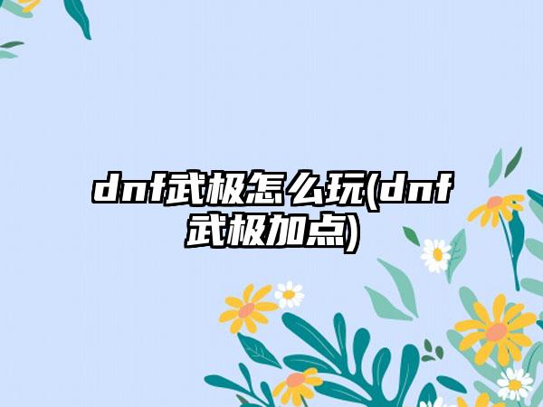 dnf武极怎么玩(dnf武极加点)