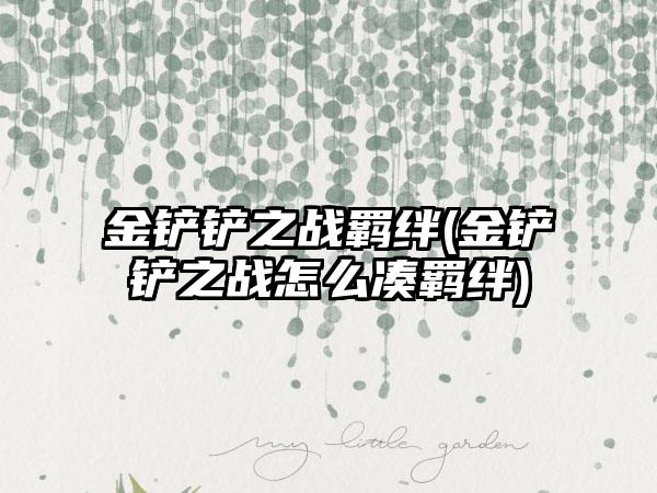 金铲铲之战羁绊(金铲铲之战怎么凑羁绊)