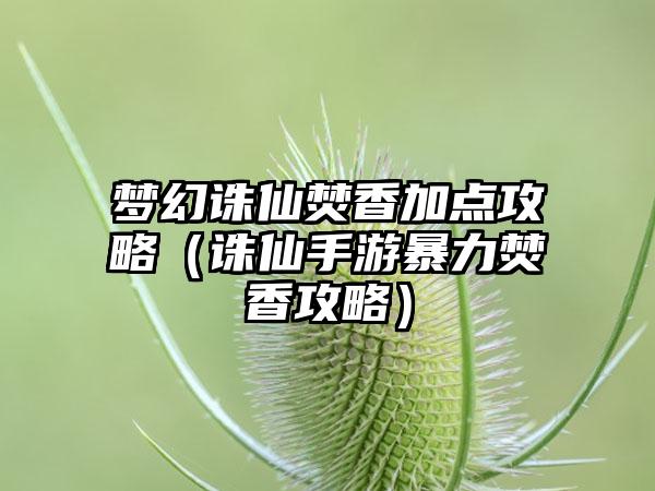 梦幻诛仙焚香加点攻略（诛仙手游暴力焚香攻略）