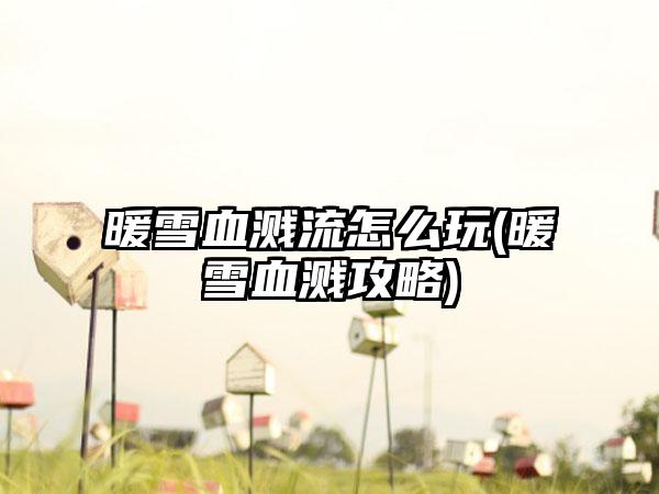 暖雪血溅流怎么玩(暖雪血溅攻略)