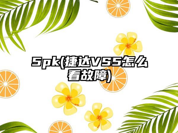 5pk(捷达VS5怎么看故障)