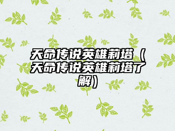 天命传说英雄莉塔（天命传说英雄莉塔了解）