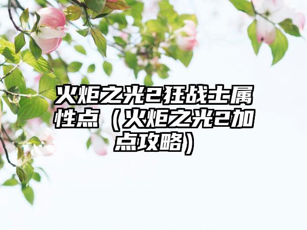 火炬之光2狂战士属性点（火炬之光2加点攻略）