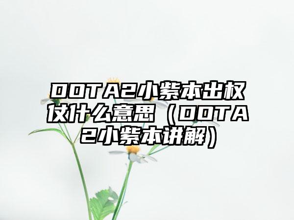 DOTA2小紫本出权仗什么意思（DOTA2小紫本讲解）