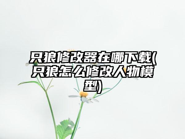 只狼修改器在哪下载(只狼怎么修改人物模型)