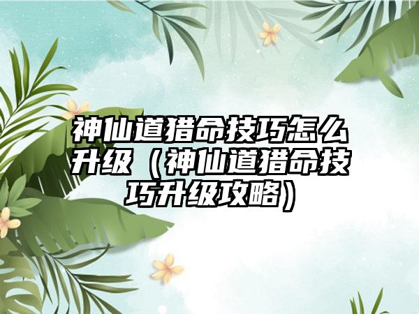 神仙道猎命技巧怎么升级（神仙道猎命技巧升级攻略）
