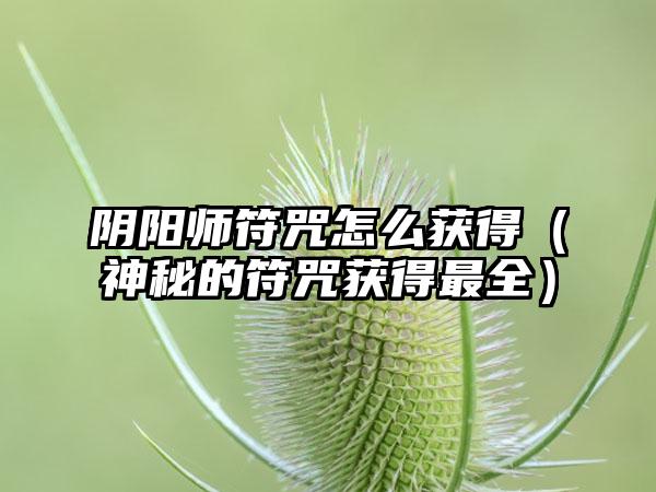 阴阳师符咒怎么获得（神秘的符咒获得最全）