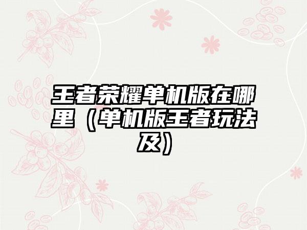 王者荣耀单机版在哪里（单机版王者玩法及）