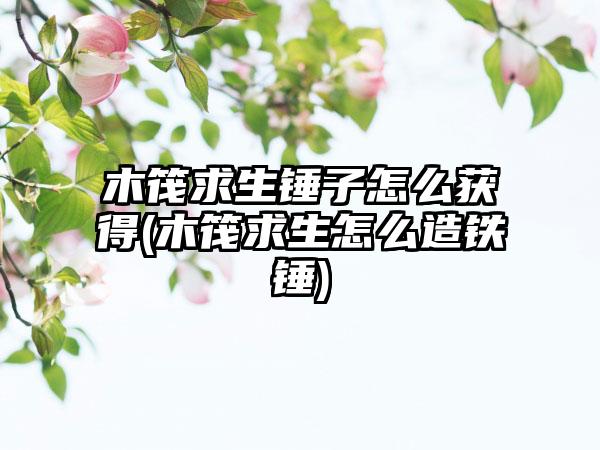 木筏求生锤子怎么获得(木筏求生怎么造铁锤)