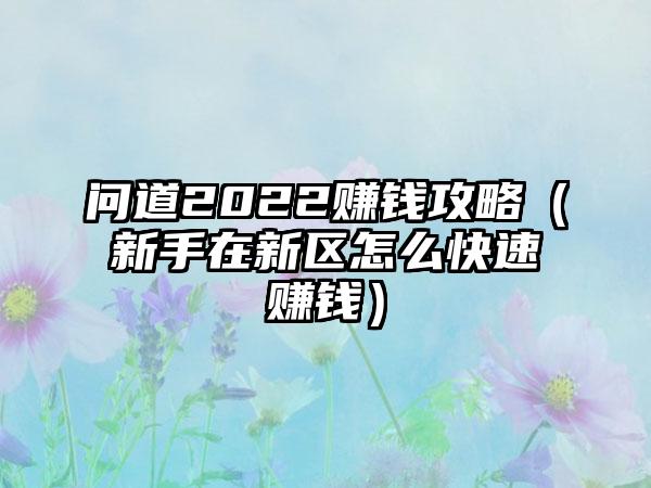 问道2022赚钱攻略（新手在新区怎么快速赚钱）
