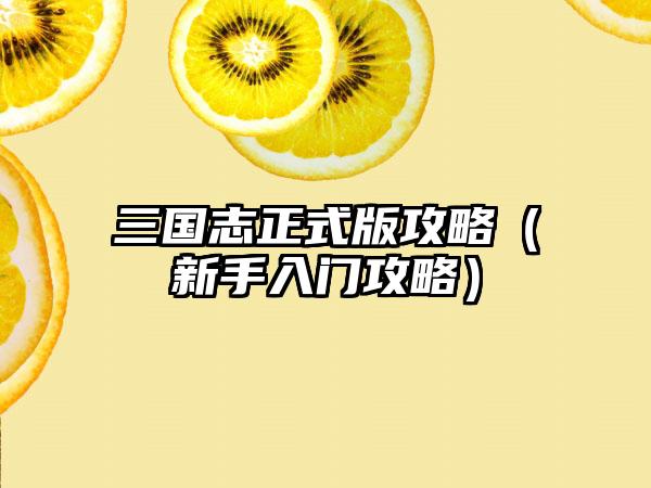 三国志正式版攻略（新手入门攻略）