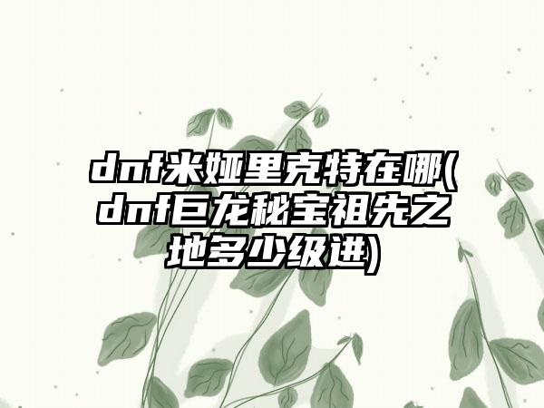 dnf米娅里克特在哪(dnf巨龙秘宝祖先之地多少级进)