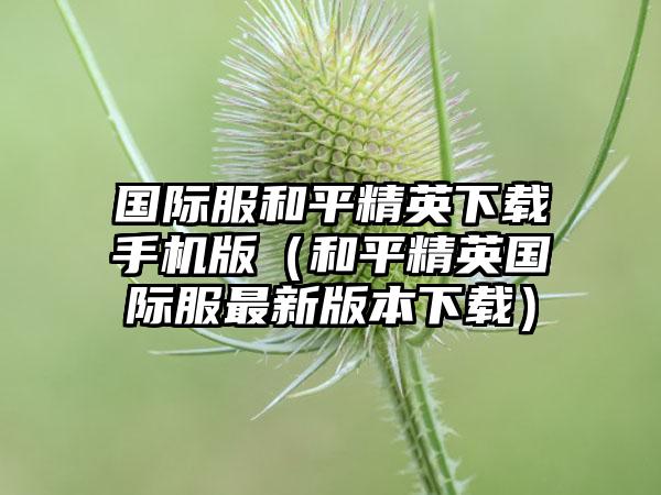 国际服和平精英手机版（和平精英国际服最新版本）