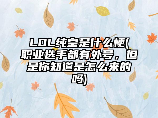 LOL纯皇是什么梗(职业选手都有外号，但是你知道是怎么来的吗)
